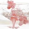 5pcs/set Sakura Cookie Mold Stamp Biscuit Cutter Cherry Blossom Flower DIY Floral Mooncake Mold Fondant Baking Tool