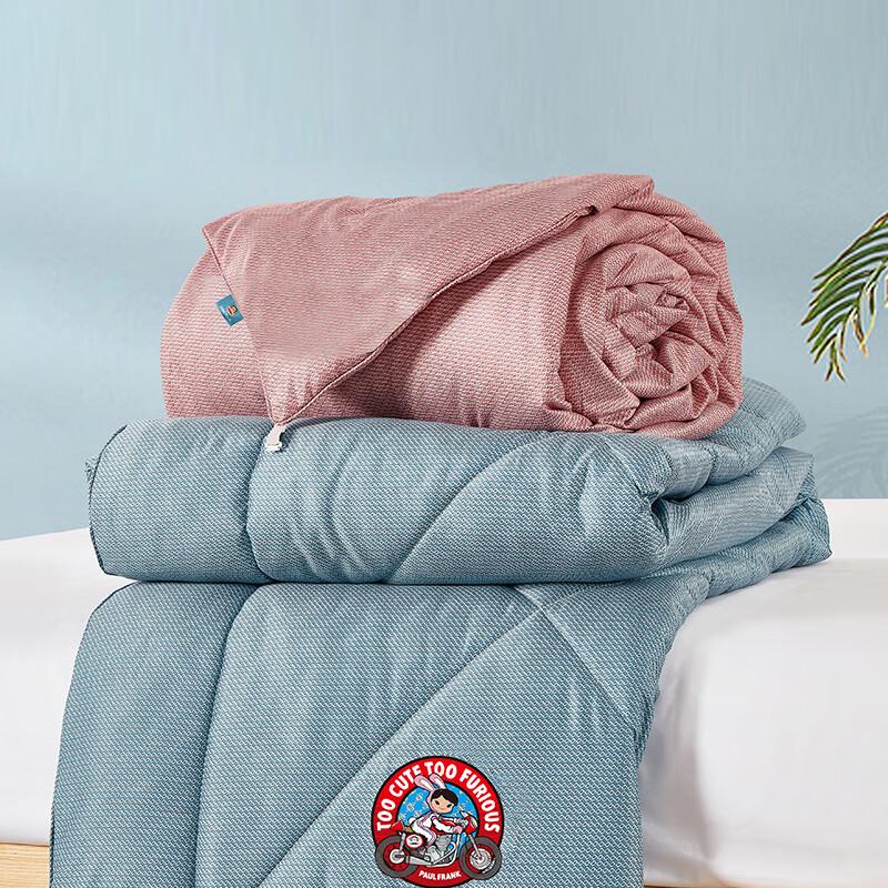 Paul Frank Dual-Core All-Season Comforter