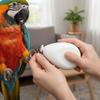 Taille-ongles électrique portable pour perroquet avec 4 têtes de polissage Coupe-ongles pour oiseau Toilettage d'animal de compagnie