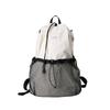 Aerolite Backpack