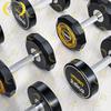 Zhongjing 275KG Fixed Dumbbell Set with Rack