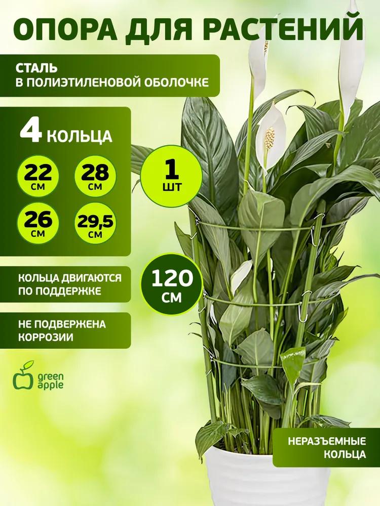 

Садовые принадлежности Опоры для растений, Цветочные подставки, Каркасы для вьющихся растений One size зелёный