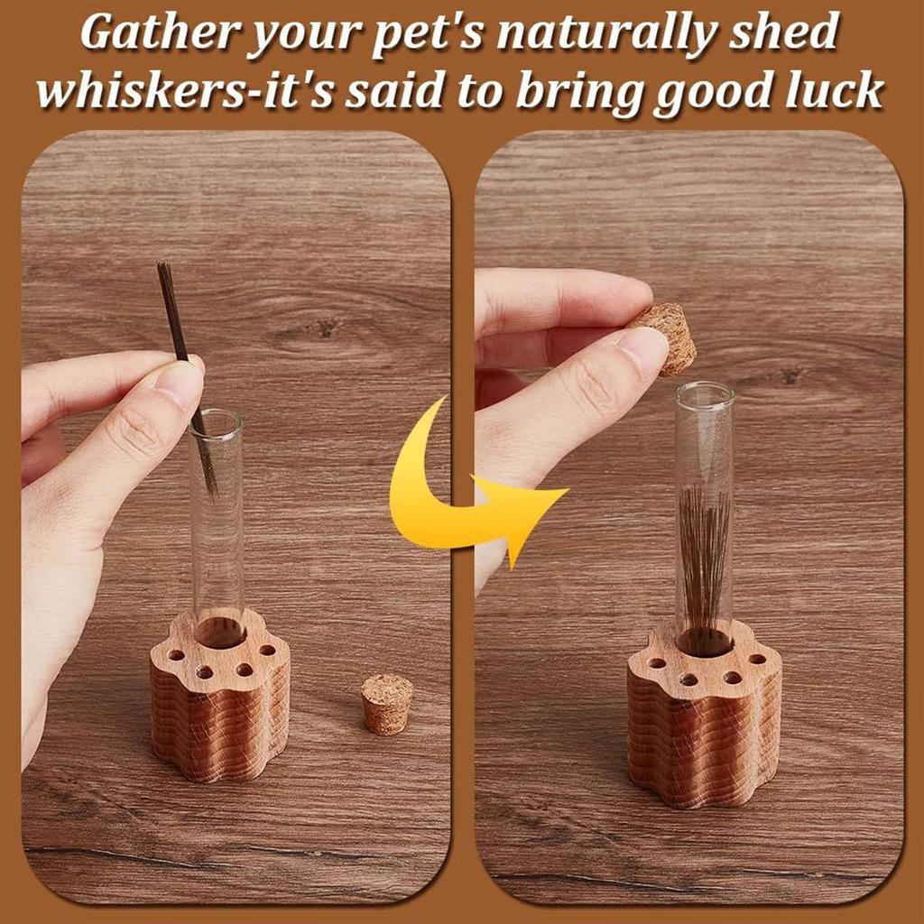 Transparent Glass Cat Whisker Collector Loss Of Pet Sympathy Keepsake Pet Hair Beard Collector Pets Souvenir Pets Whisker Vase