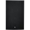 FionTu 15-inch Full-Range Conference Speaker (CN Version)