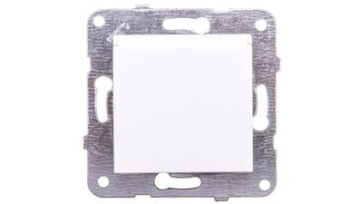 Socket with Grounding and Cover, White Color / 90963870