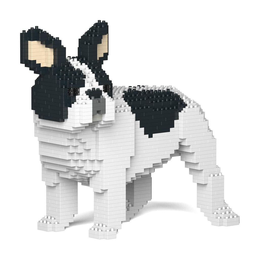 Build realistic animal objects with this block a funny French x x sturdy blocks secured with for 3D fall interior Enver Hellook toy, expression,