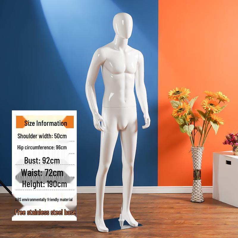 Mannequin Display Model