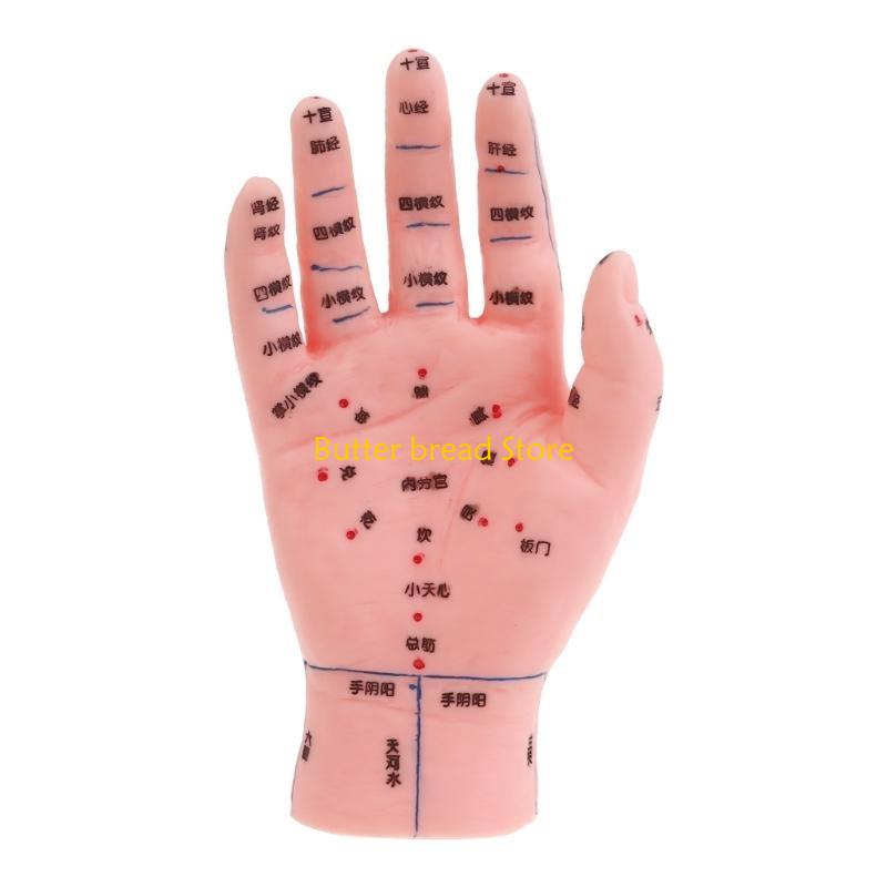 W89C Acupuncture Model Human Hand Foot Ear Acupuncture Model Human Acupuncture Model