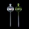 Automatic Cactus Self Watering Planter Cactus Glass Automatic Plant Watering Bulbs Cute Plant Water Feeder Glass Bulbs Indoor