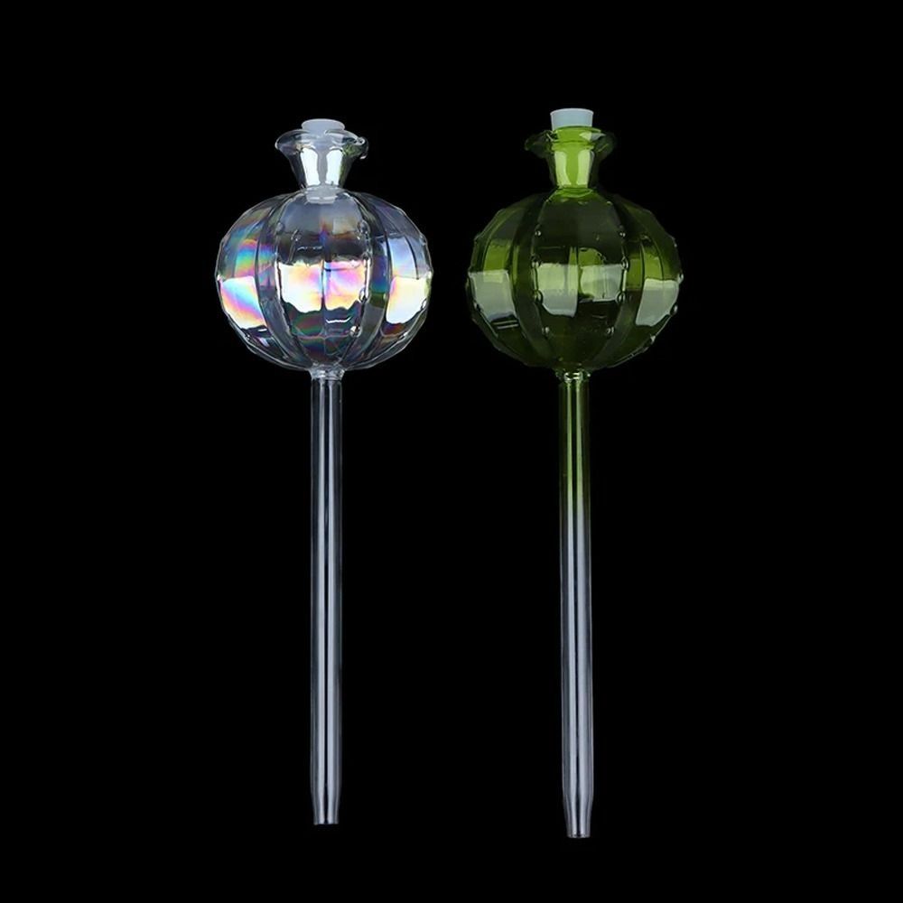 Automatic Cactus Self Watering Planter Cactus Glass Automatic Plant Watering Bulbs Cute Plant Water Feeder Glass Bulbs Indoor