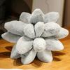 NEW Soft Succulents Plush Stuffed Toys Various Cute Potted Flowers Bookshelf Pillow Home Living Room Decoration Girls Gifts