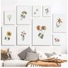Postere de epocă cu plante sălbatice Printuri cu flori botanice Pictură pe pânză Poze moderne de artă de perete pentru decorarea casei de living