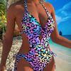 New European and American Sexy Color Leopard Print One-piece Bikini Swimsuit Female Bikini