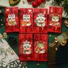 6pcs Festive New Year Red Envelope Blessing Lucky Money Pockets  Wedding Birthday