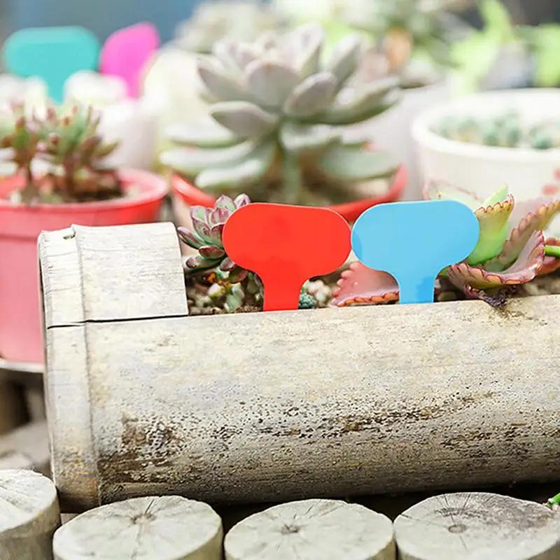 100pcs Gardern Labels for Plants,T Type Plant Labels,Plant Labels,Garden Labels Plastic,Garden Tags for Succulents Label