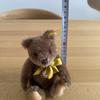 [USED] German Steiff Teddy Bear, 1960