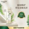 Anti-Breakage Oil Control Conditioner