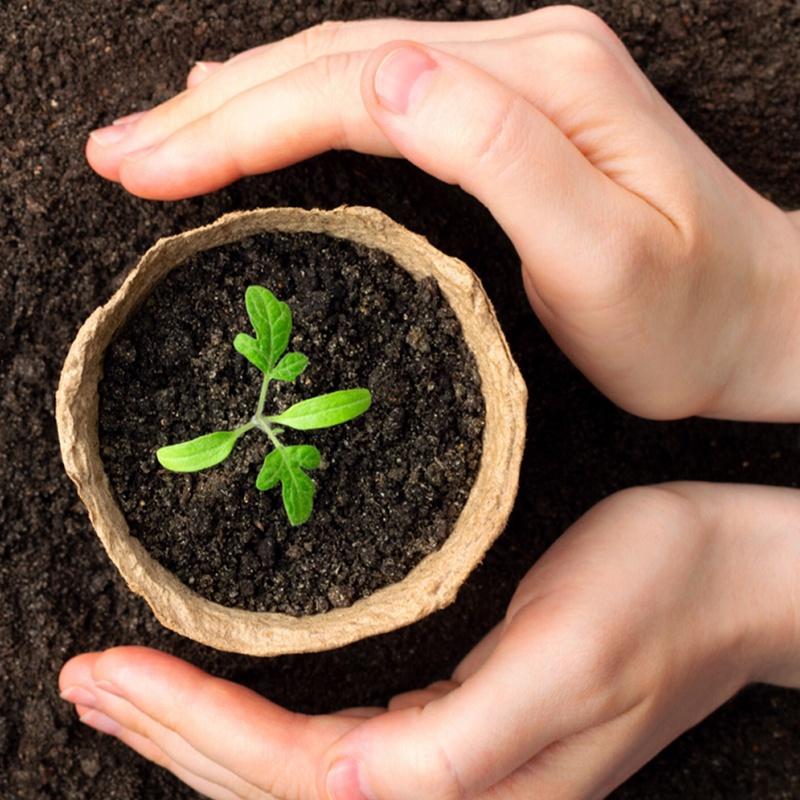 Biologisch abbaubare Pflanztöpfe Öko-Zellstoff Anzuchttassen Blumen Atmungsaktiv Wurzelwachstum Rund Quadratisch Hauspflanzung Gartenarbeit