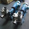 Stainless Steel 25GFX-13 Chemical & Sewage Self-Priming Pump