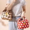 Large Capacity Foldable Insulated Lunch Bag for Freshness Preservation