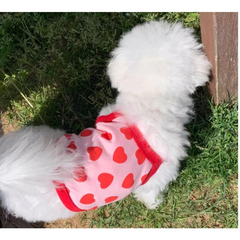 Korean Version of Summer Dog Two-legged Love Full of Colorful Small Suspenders Cat Hairless Cat Teddy Bear Pet Clothes