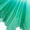 Chinese Classical Style Printed Green Leaf Chiffon Embroidery Fabric Diy Hanfu Shirts Doll Cloth Gradient Lotus Leaf Sew Fabric