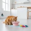 Schräge Katzenfutter-Schale Anti-Verschüttung Erhöhte Katzenfutter-Schale Keramik-Tiernapf Leicht zu Reinigen Erhöhte Langsamfresser-Schale Rutschfest