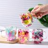 Double-Wall Dried Flower Glass Mug - Heat-Resistant Decorative Coffee/Tea Cup (Multi-Color Options)