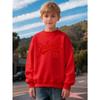 Kids Unisex Crewneck Sweatshirt, Vintage Cursive Number 67 Print Long Sleeve Pullover, Boys Girls Casual Birthday Sweatshirt For Kids Over 4 Years Old