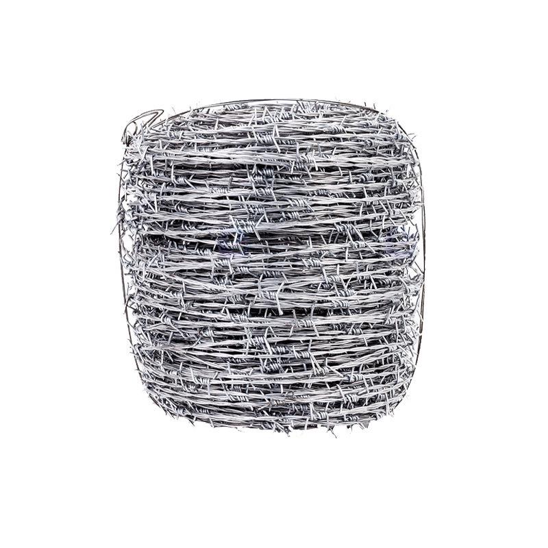 Double-Strand Plastic-Coated Galvanized Barbed Wire