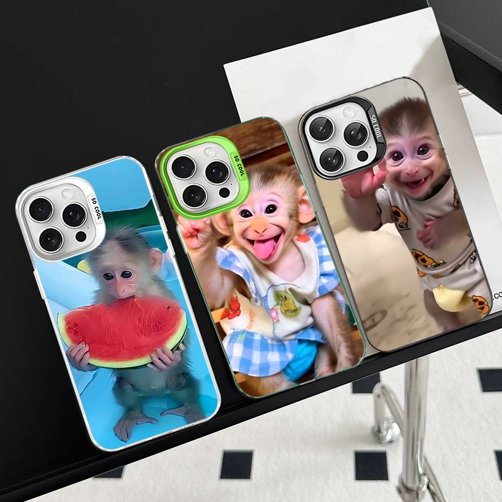 Cute Funny Monkey Phone Case for iPhone 17 16 15 14 13 Pro 12 11 Pro Max PLUS Color Back Cover