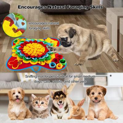 Chiens – Jouets pour chiens