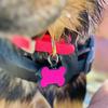 Silicone Bone-Shaped Dog Tag & Military-Style Pendant for Pet Engraving