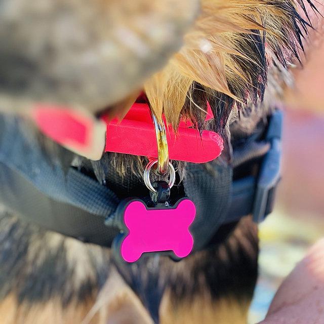 Silicone Bone-Shaped Dog Tag & Military-Style Pendant for Pet Engraving