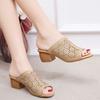 Dámske Vonkajšie duté papuče Rybí ústie Pohodlné Všestranné Stredne vysoké podpätky Dámske Sandále Dámske Topánky pre matky