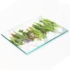 Glass Kitchen Serving Board with Herb String Graphics 80x52 Cm