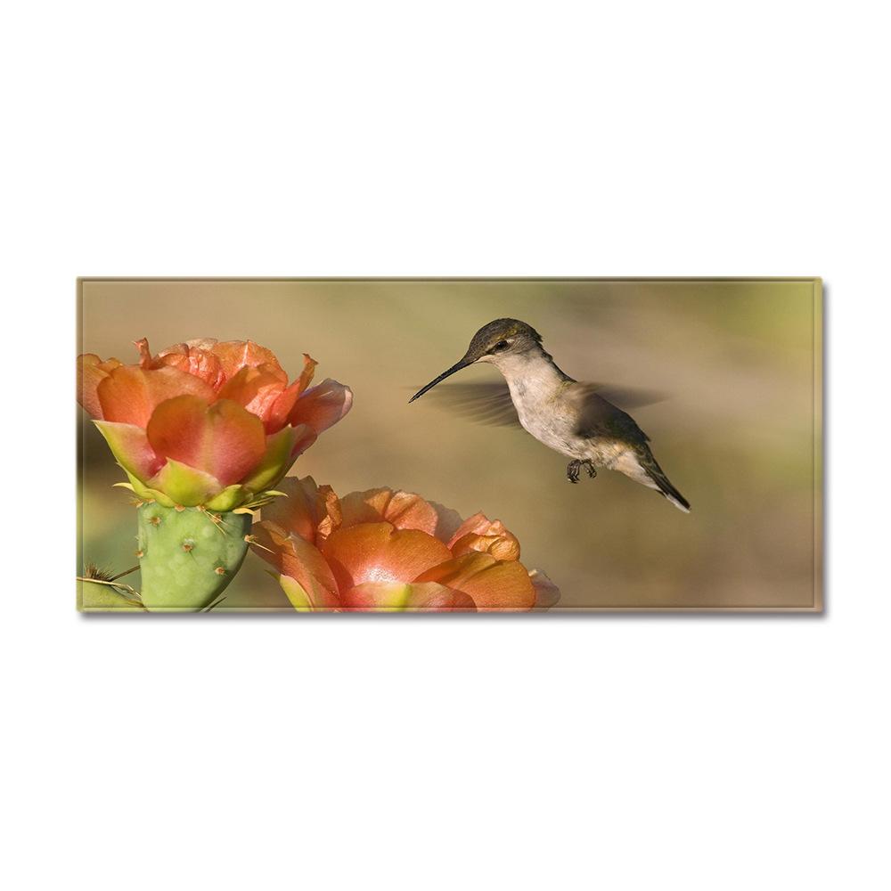 Animal Sand Wardrobe Shoe Cabinet Long Floor Mat