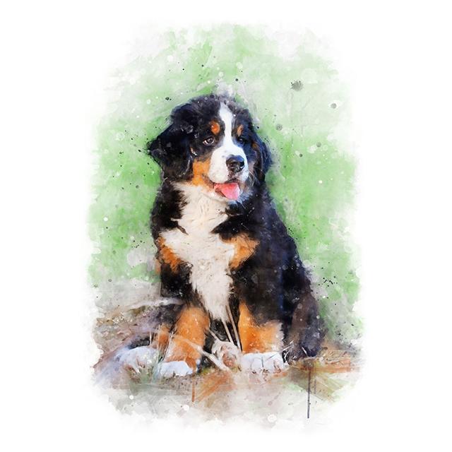 Aquarell Tiere Niedlicher Hund Bunter Druck Poster Leinwand Malerei Hd Modern Wandkunst Bild Für Wohnzimmer Schlafzimmer Heimdekor
