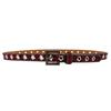 Luxury 2.3cm Leopard Print Leather Belt with Floral Eyelets & Rhinestones, No Punching Needed, Pin Buckle, Fully Diamond-Encrusted.