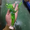 1 Pc Plastic Aquarium Artificial Aquatic Plant Decoration Simulated Seaweed Aquatic Plant 3 Colors Underwater Plant Decoration