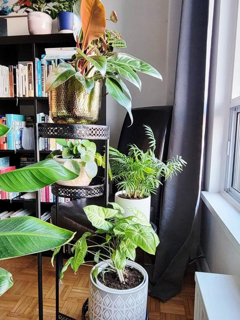 Susire Flower Folding Gardening Flower Fall Indoor Gardening Pot Garden 4 High Potted Plant Entrance Stand, Shelf, Stand, Iron, Prevention, Rack,