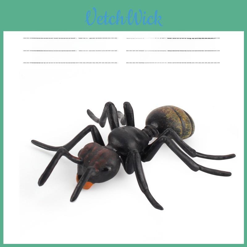 Wasps Ants Crickets Science Model Collection Of Pvc Insects For Classroom Teaching And Display