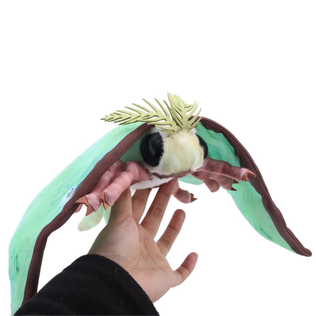 Plyšák Luna Moth Měsíční můra Měkké Realistické Zelená Luna Moth Plyšové zvířátko Plyšák Přírodní téma Pro děti Milovníky hmyzu Dárek k narozeninám