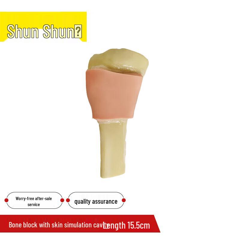 Bone Marrow Infusion & Puncture Training System