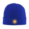Sun Of May Flag Of Argentina Warm Knitted Cap Fashion Bonnet Hat Autumn Winter Outdoor Beanies Hats for Unisex Adult