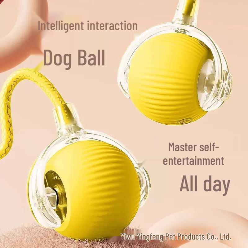 Cross-Border Cat and Dog Rolling Amusement Ball - Interactive Pet Toy for Boredom Relief