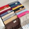 Autumn/Winter 2025 Solid Color Imitation Cashmere Tassel Neck Warmer Shawl
