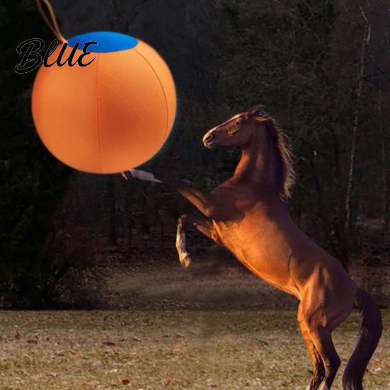 Interactive Dog Ball Herding for Dogs Calming with Cover Handle Inflatable Training Anti-burst Toy Large Breeds Small Medium Active Play Exercise