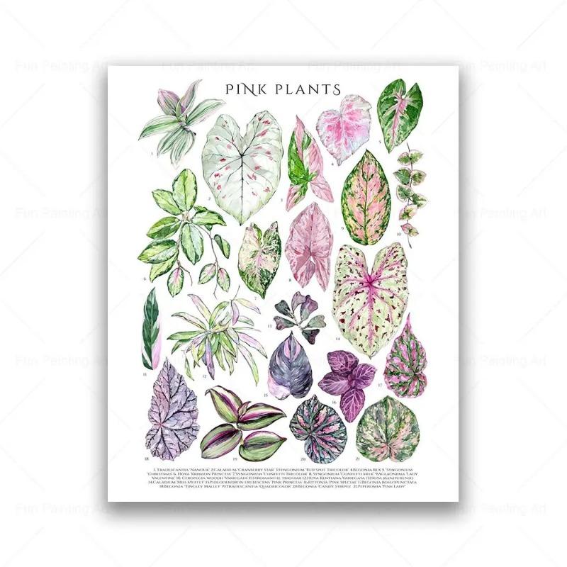Botanical House Plant Canvas Painting Educational Poster Leaves Print Wall Art Picture Kids Room Decor Plant Lovers Gift