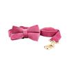 Rose Velvet Pet Collar Dog Collar Chest Back Leash Dog Chain Dog Chest Bow